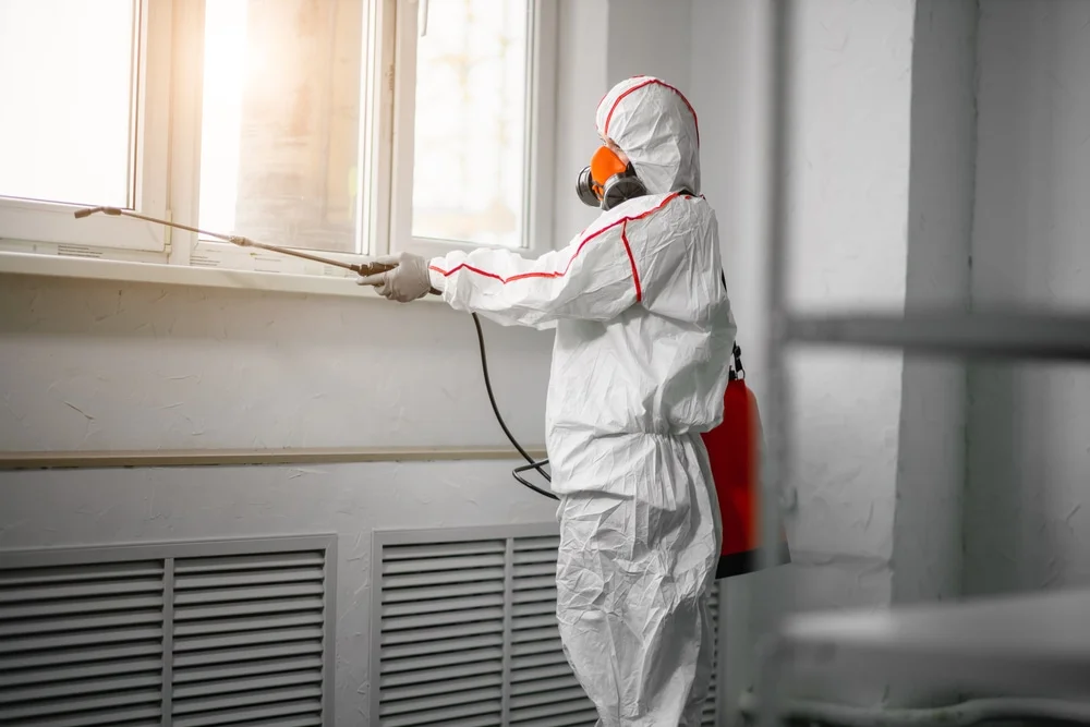 Professional mold remediation services in Morgan, UT